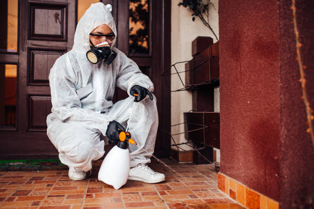 Reliable Ant Control contractor in La Plata, MD by Show Me Pest Control